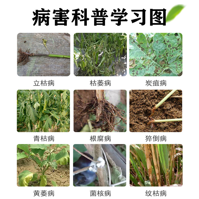 甲霜恶霉灵杀菌剂农用枯萎病立枯病白绢根腐病死苗烂根黄叶专用药_虎窝淘
