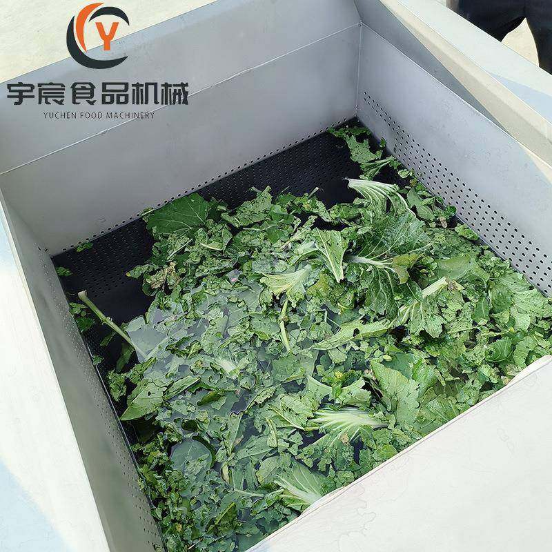 商用自动出料万能清洗机叶菜类豆芽菜菌菇肉类翻斗涡流式清洗设备,淘宝优惠券,粉丝福利购,淘宝优惠卷