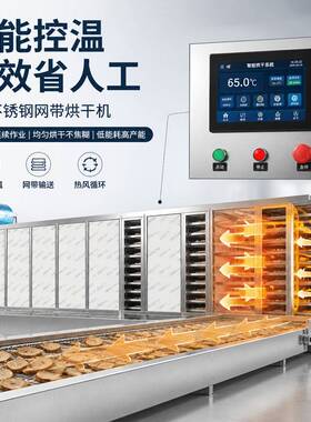 济南华中网带烘干机 全自动多层连续干燥机 药材果蔬食品烘干设备