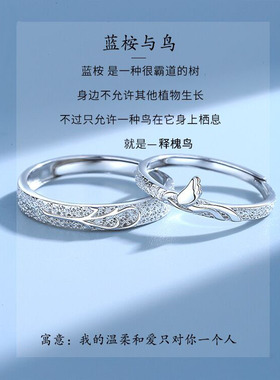 蓝桉已与释槐鸟情侣戒指纯银一对