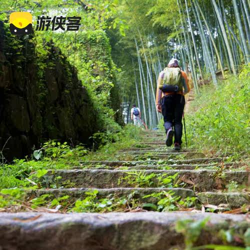 游侠客上青古道1日8km入门徒步悠悠古道竹影斑驳碧绿水库上海往返 - 图1