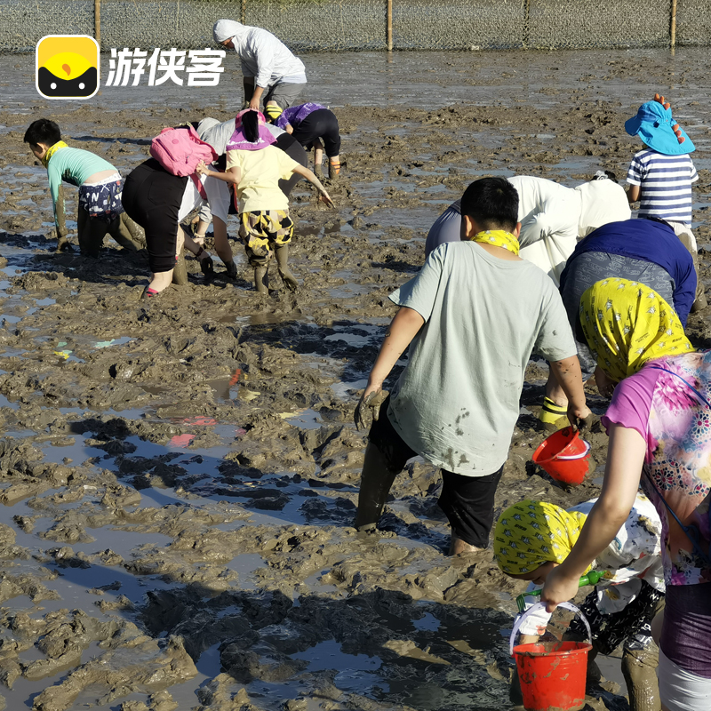 [上海往返]游侠客象山宁海湾亲子赶海2天1晚跟团体验N种赶海玩法 - 图3