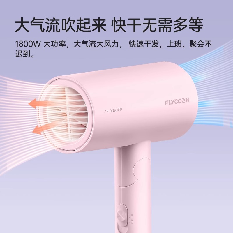 飞科吹风机2025新款负离子护发家用恒温大功率宿舍电吹风筒FH6278