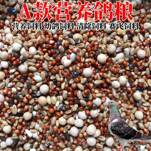 营养鸽子粮无玉米鸟食信鸽观赏鸽幼鸽赛飞专用饲料红土保健砂 - 图0