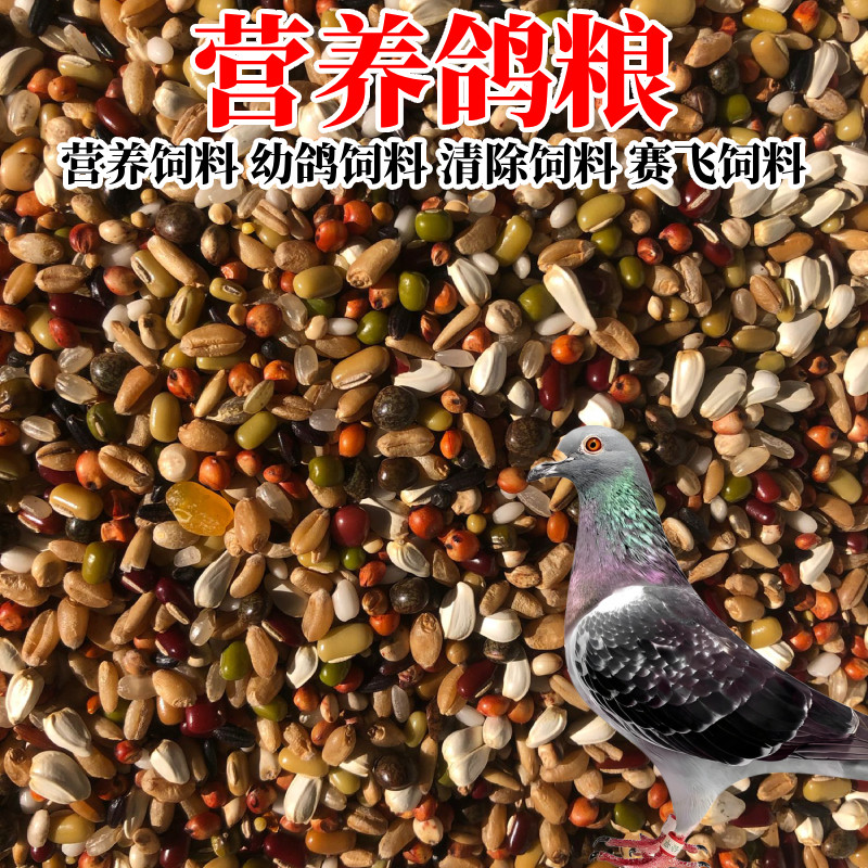 营养鸽子粮无玉米鸟食信鸽观赏鸽幼鸽赛飞专用饲料,淘宝优惠券,粉丝福利购,淘宝优惠卷