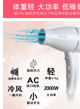 发廊专用吹风机家用负离子大功率