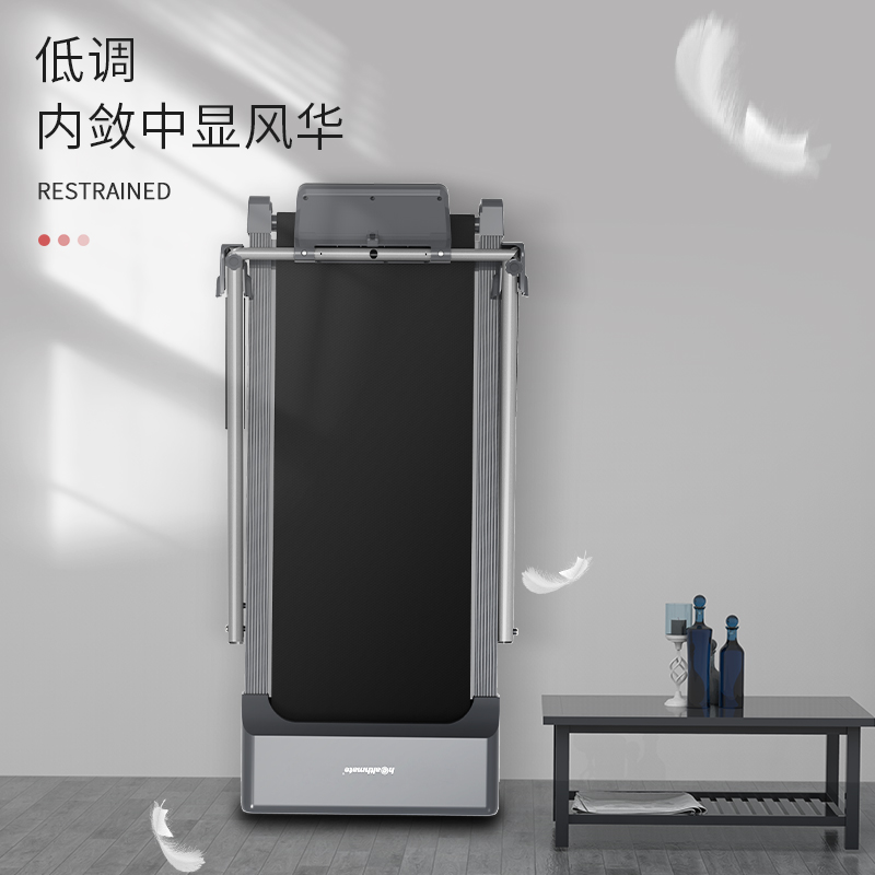  海斯曼西奈尔跑步机