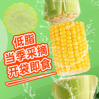 【嫩脆多汁】东北农嫂即食水果玉米段