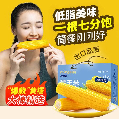 东北农嫂黄糯玉米礼盒8根装2kg软糯香吉林原产低脂粗粮真空玉米B - 图2
