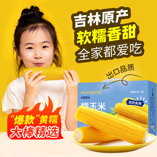 东北农嫂黄糯玉米礼盒8根装2kg软糯香吉林原产低脂粗粮真空玉米B - 图0