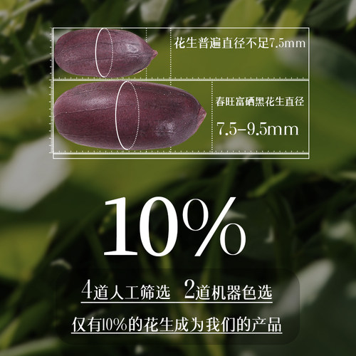 春旺花生零食下酒菜茶点黑皮富硒花生108g/袋 - 图2