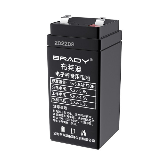 Large-capacity universal electronic scale battery with long battery life