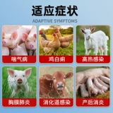 20% Флорфеникол Инъекции Ветеринария для свиней, крупного рогатого скота и овец Высокая температура Смешанный кашель и астма Инъекции Респираторная инфекция Рвотный кашель