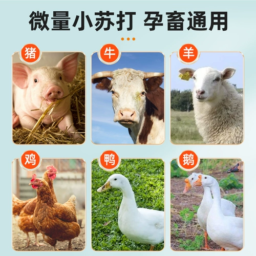 Быки и овечья газированная звери с бикарбонатной свиной курицей и утками потребляют следовые элементы.