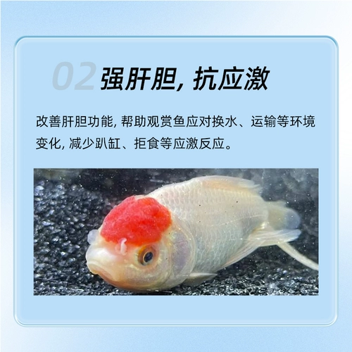 Специально для печени и желчного пузыря для аквариумных декоративных рыб, защищает печень и желчный пузырь, способствует абсорбции, снимает стресс, защищает печень и желчный пузырь, разведение кишечных рыб в аквариуме