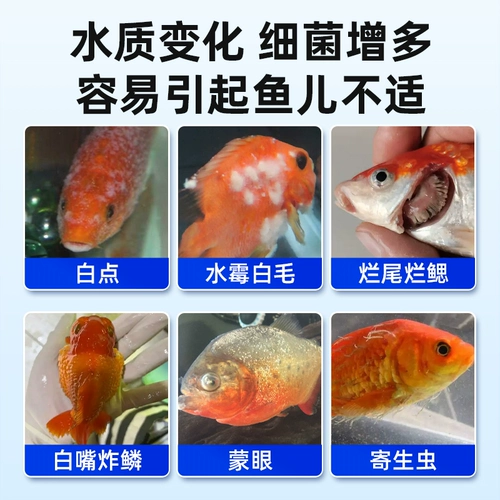 Стерилизация и дезинфекция бака с метиленовым синим рыб