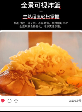 可视化无涂层玻璃蒸汽款空气炸锅