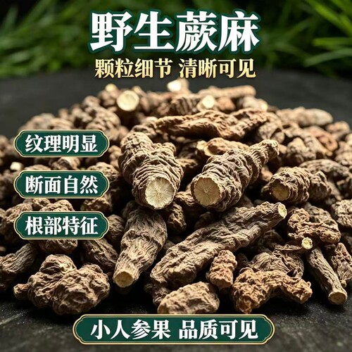 野生蕨麻小人参果甘肃高原特产自然干制根部实拍品质可见 - 图1