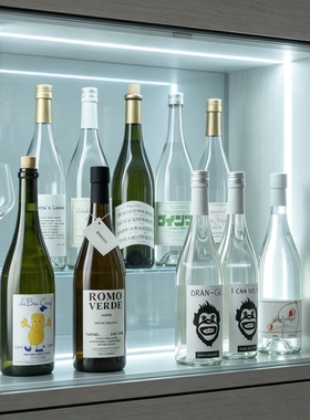 样板房ins红酒葡萄酒玻璃瓶道具样板房酒吧软装陈列柜装饰摆件