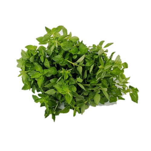 2斤包邮云南德宏野菜水薄荷特产傣味麻章那香草新鲜蔬菜水香菜 - 图3