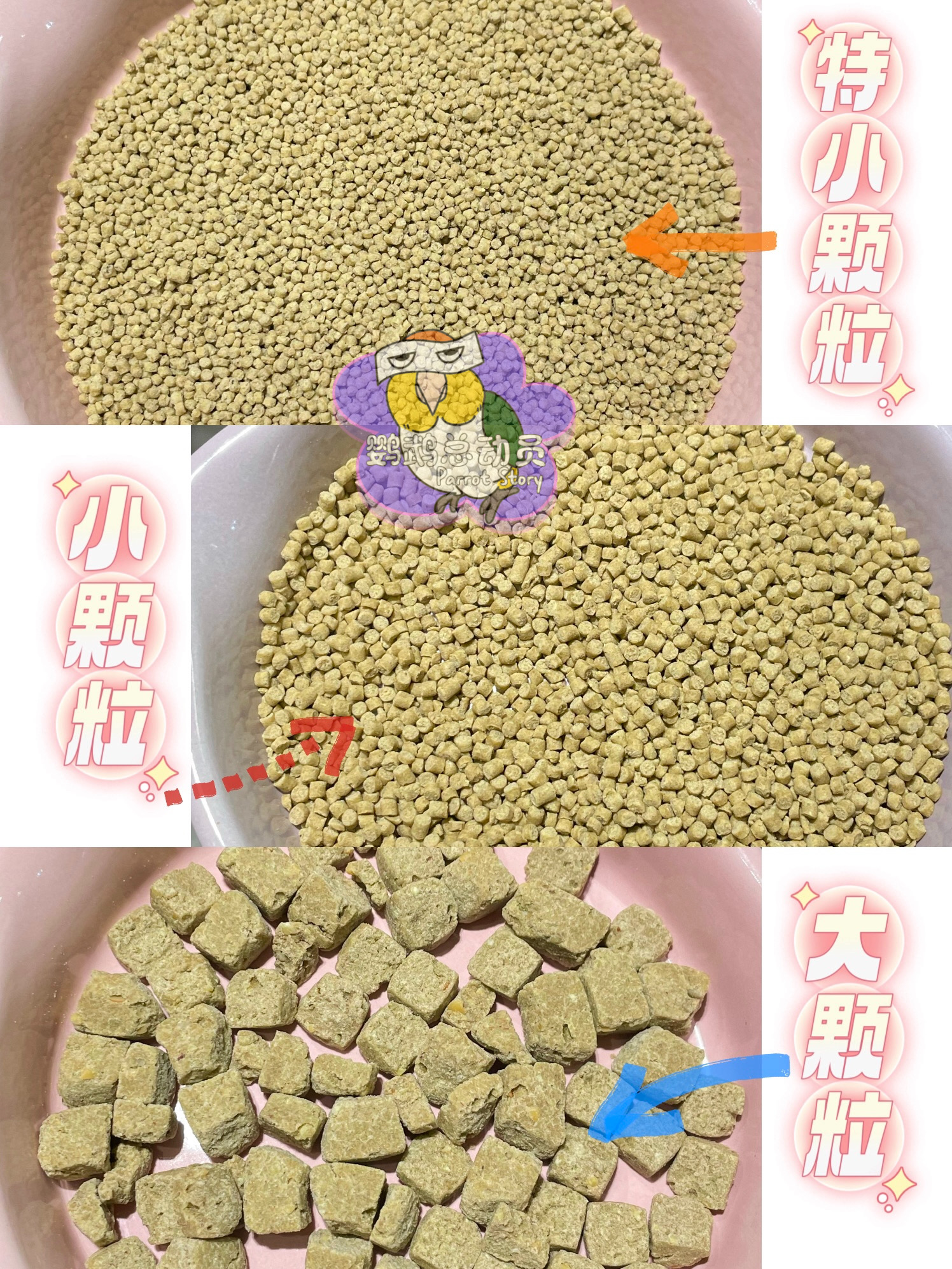 哈里森滋养丸试吃官方旗舰进口鹦鹉鸟粮饲料高能特小颗粒玄凤牡丹-图0