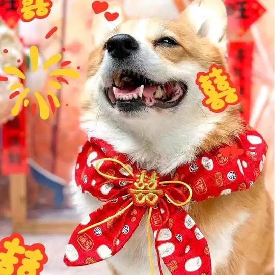 Pet scarf new year festive red decoration