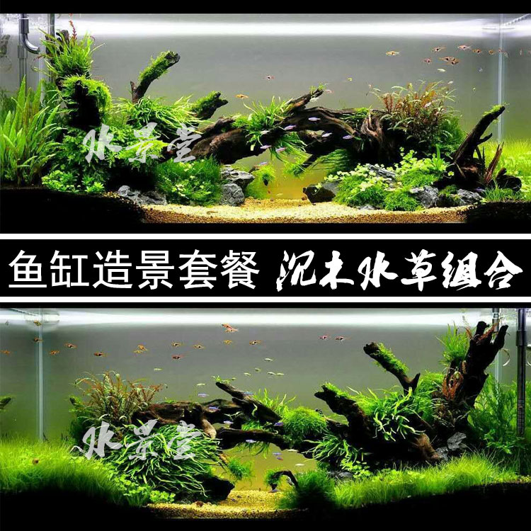 鱼缸装饰沉木套餐潜水泵水族箱装饰过滤魔毯鱼缸造景-图3