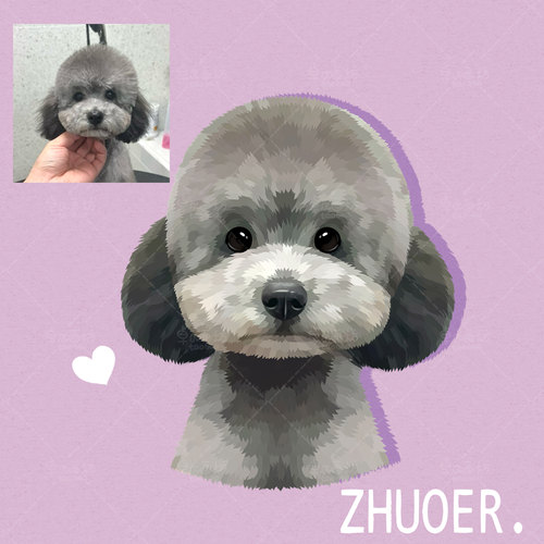 【色块宠物手绘】约稿头像定制画像漫画q版狗狗猫咪动漫卡通设计 - 图1