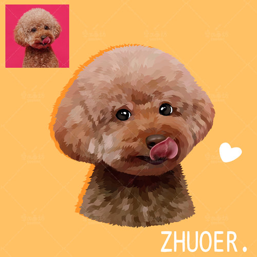 【色块宠物手绘】约稿头像定制画像漫画q版狗狗猫咪动漫卡通设计 - 图3