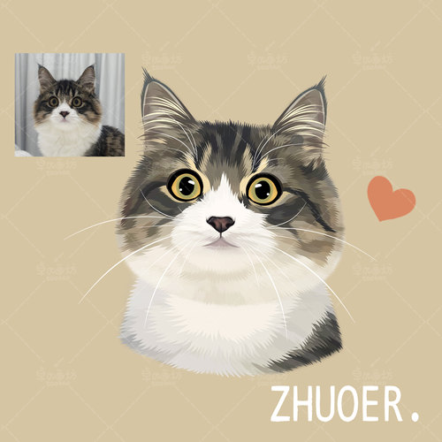 【色块宠物手绘】约稿头像定制画像漫画q版狗狗猫咪动漫卡通设计 - 图2