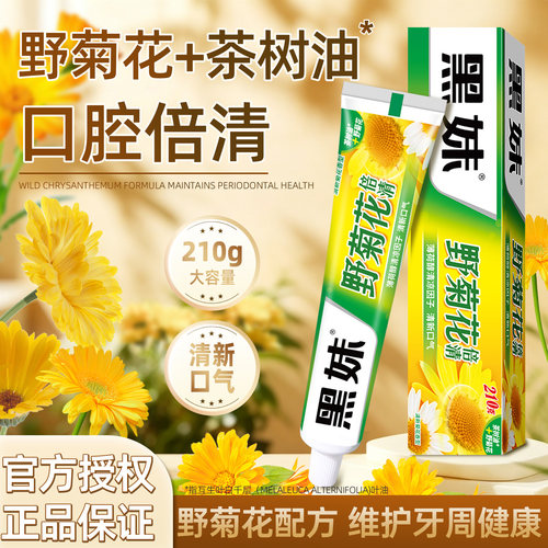 210g野菊花牙膏官方正品不含氟家庭装家用清新口气成人大容量牙膏 - 图0