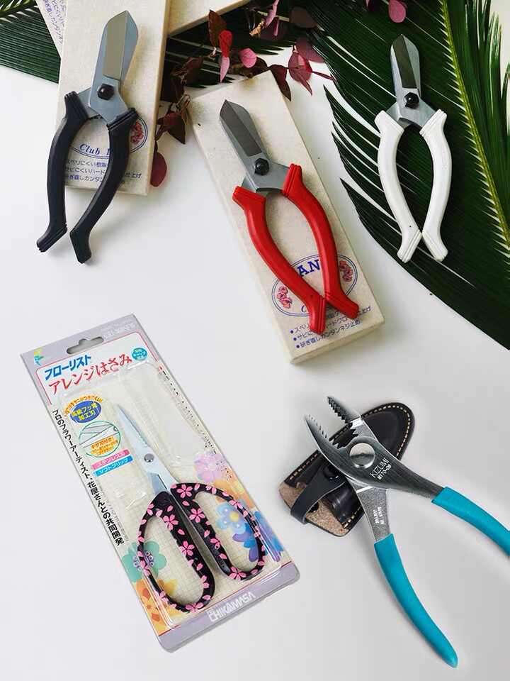 池坊花剪 新人首单立减十元 22年3月 淘宝海外