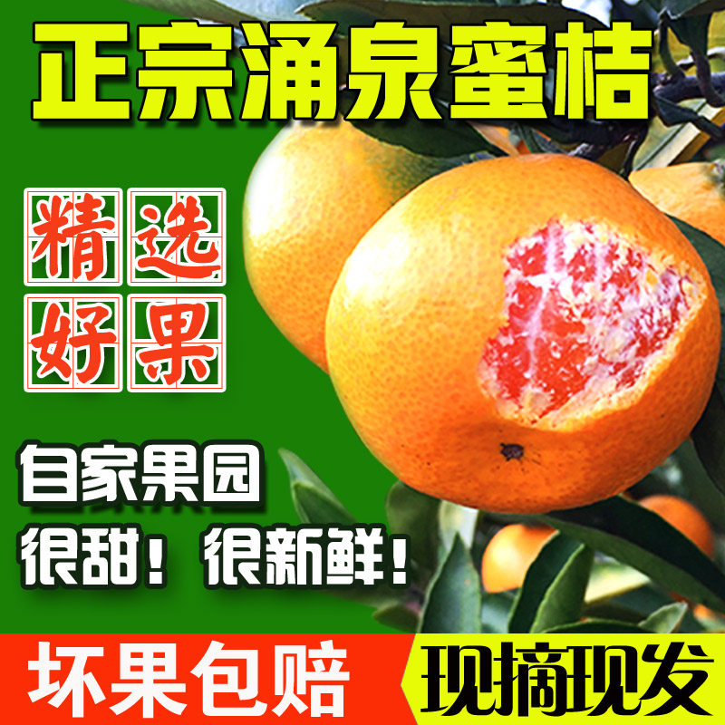 正宗临海涌泉蜜桔5斤新鲜水果橘子当季整箱黄岩桔现摘官方旗舰店,淘宝优惠券,粉丝福利购,淘宝优惠卷