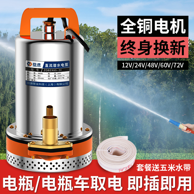 直流潜水泵48v60v抽水泵12V24V伏家用电瓶车小型电动车农用抽水机