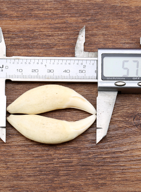 盈月牙齿黑狗实物拍摄吊坠项链