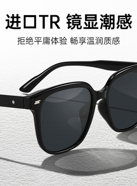 大框墨镜女款2024新款高级感偏光