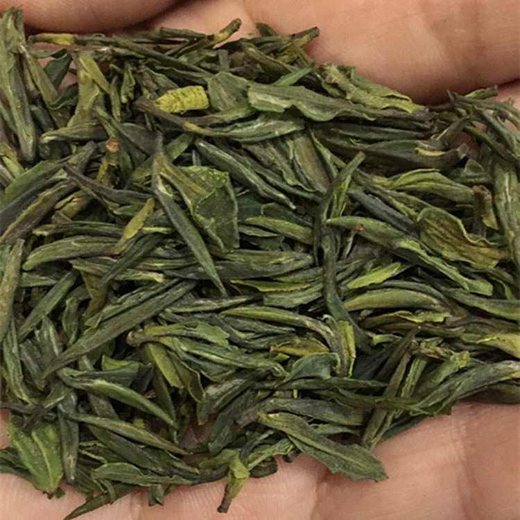 2023新茶 明前 绿杨春头采一芽一叶 捺山绿茶礼 盒250g