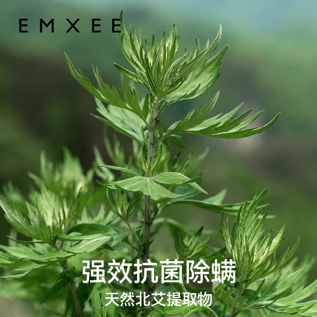 嫚熙婴儿去渍洗衣液宝宝儿童除螨抑菌护衣植萃酵素洗衣液500ml