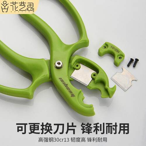 花艺花店打刺去叶修枝插花养花可换刀片多功能花卉专用剪刀 - 图1