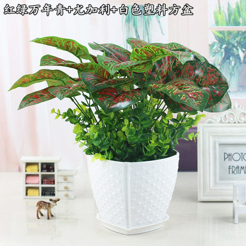 仿真植物仿真绿植套装摆件假草万年青盆栽装饰花艺塑料假花仿真草 - 图2