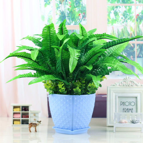 仿真植物仿真绿植套装摆件假草万年青盆栽装饰花艺塑料假花仿真草 - 图3