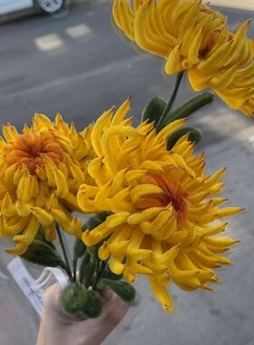 扭扭棒手工花束菊花仿真花向日葵虞美人玫瑰百合花教师节礼物