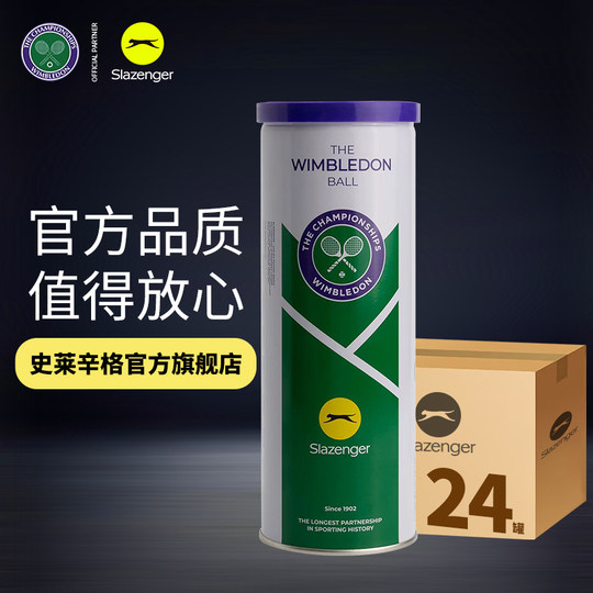 slazenger史莱辛格网球高弹耐打训练球温网单人练习比赛运动用球