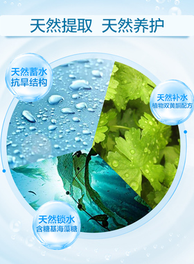 丹姿乳液氨基酸多效控油面霜女