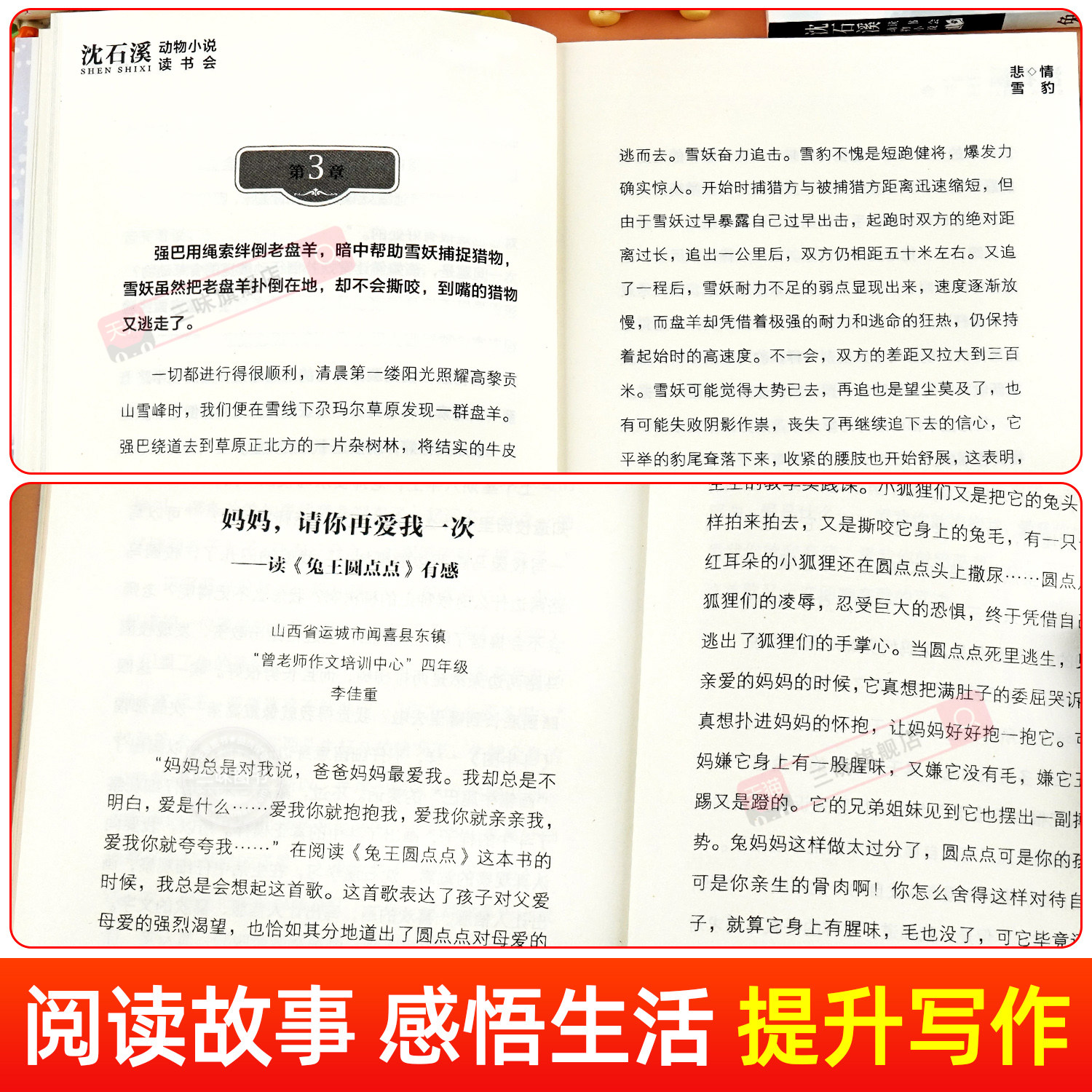 沈石溪动物小说全集5册正版 三年级四五六年级课外阅读书籍儿童读物适合小学8-12岁岁看读的小学生课外阅读书籍必读狼王梦漫画本,淘宝优惠券,粉丝福利购,淘宝优惠卷