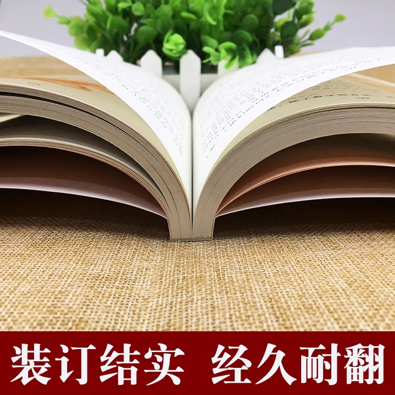 傅雷家书原著正版八年级下册课外阅读书籍人教版适用初中生原版原著12-15岁付雷家信完整初二读书目非人民教育出版社 - 图1