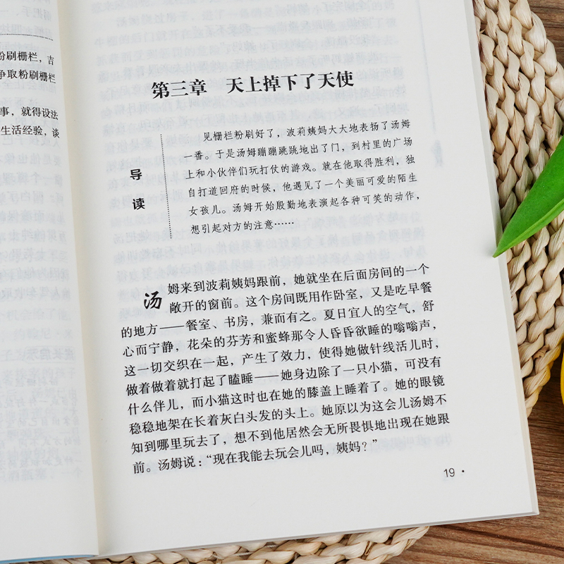 汤姆索亚历险记六年级下册课外书经典阅读书目必读老师推荐五年级正版原著青少版荐马克吐温汤姆·索亚小学生版适合三四五六的课外 - 图2