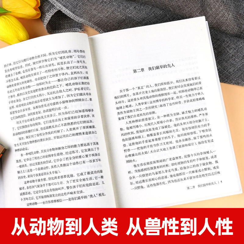 人类简史从动物到上帝未来简史房龙作品世界历史日记自然科学丝绸之路全球通史人类学历史阅书籍正版世界历史人类历史书籍-图1