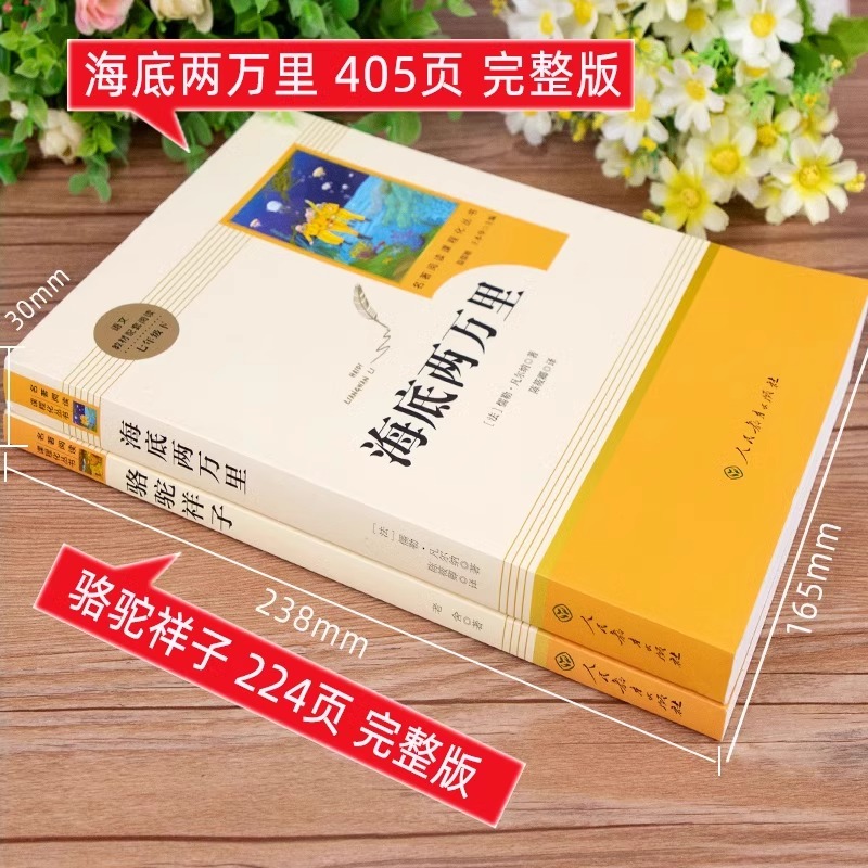 红岩书骆驼祥子和海底两万里七年级下册必原著读正版书老舍初一课外书人民教育出版社初中课外阅读书籍语文书目名著阅读 - 图1