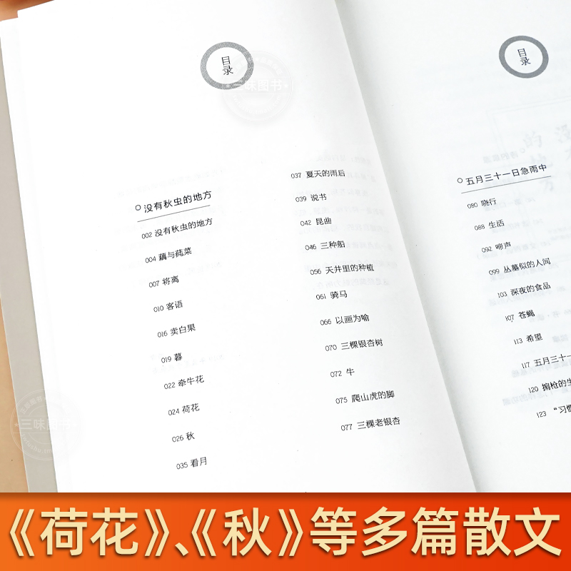 叶圣陶经典散文集叶圣陶童话儿童文学全集叶圣陶著散文小说随笔9-10-12-15岁中小学生课外阅读儿童文学书读物散文名著作品鉴赏-图1